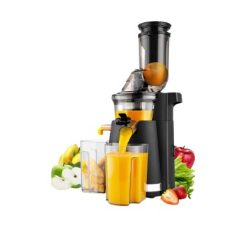 Slow Juicer Cold Press for Fruits & Vegetables